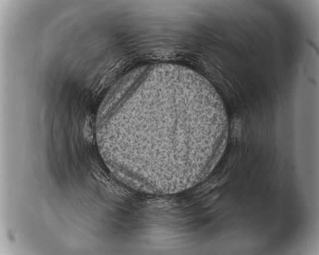 X0000102241202200808221322