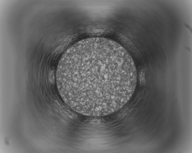 X0000102241204200808221322