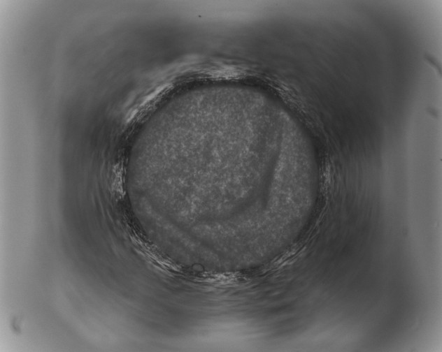 X0000102241205200808221322