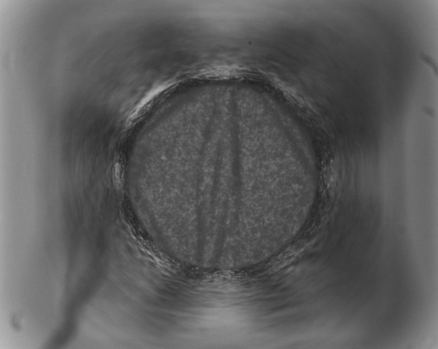 X0000102241206200808221322