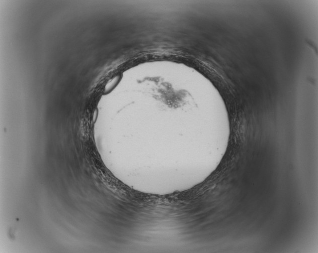 X0000102241207200808221322