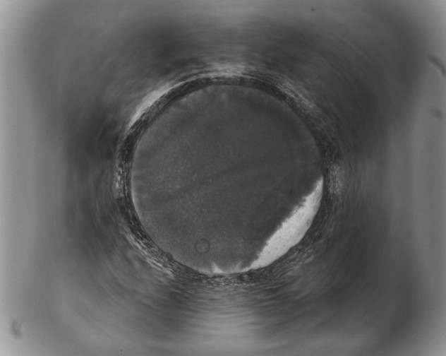 X0000102241208200808221322