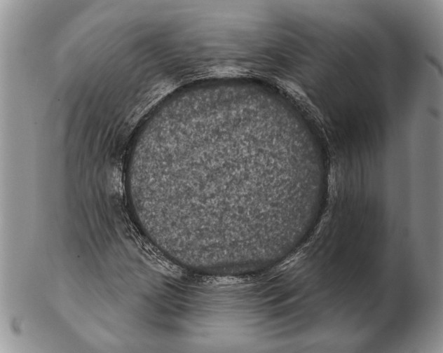 X0000102241209200808221322