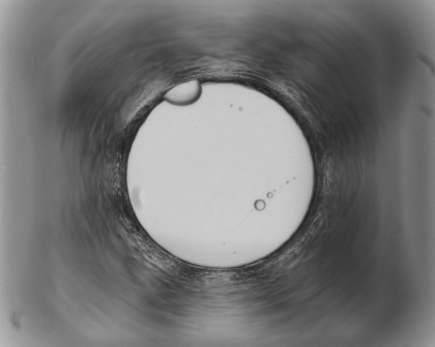 X0000102241211200808221322