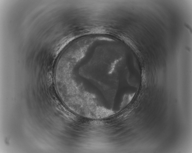 X0000102241212200808221322