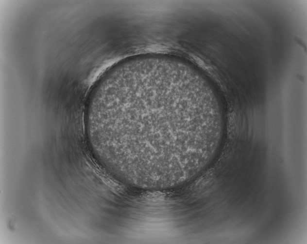 X0000102241214200808221323