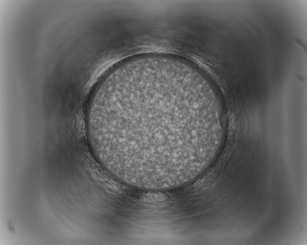 X0000102241215200808221323