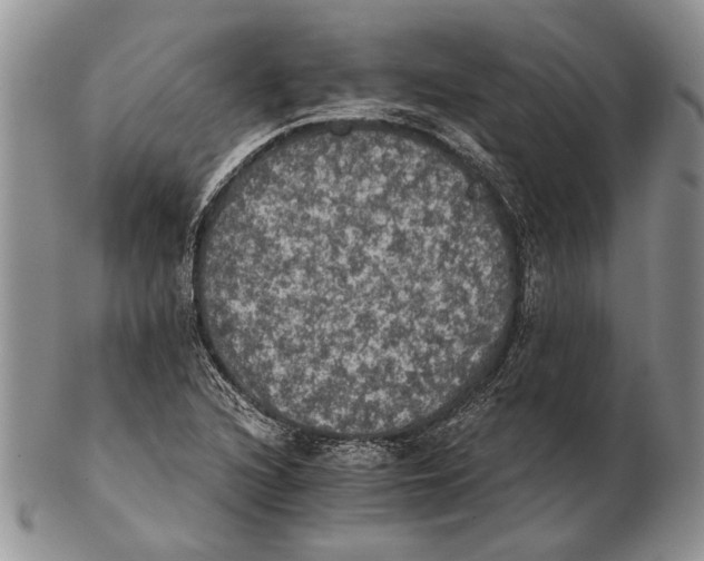 X0000102241216200808221323