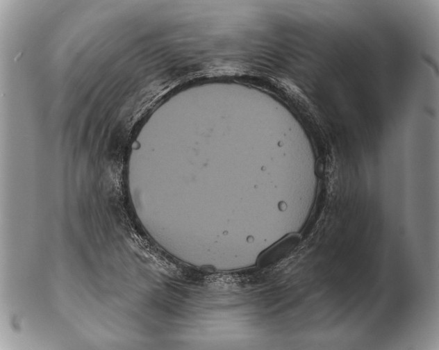 X0000102241217200808221323