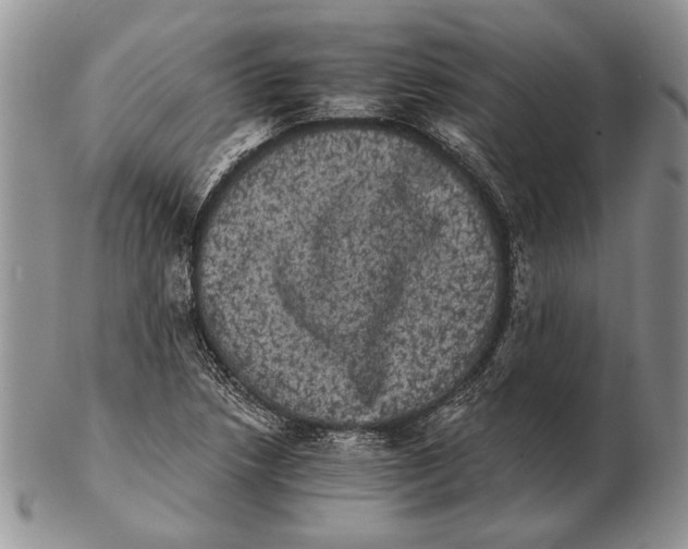 X0000102241218200808221323