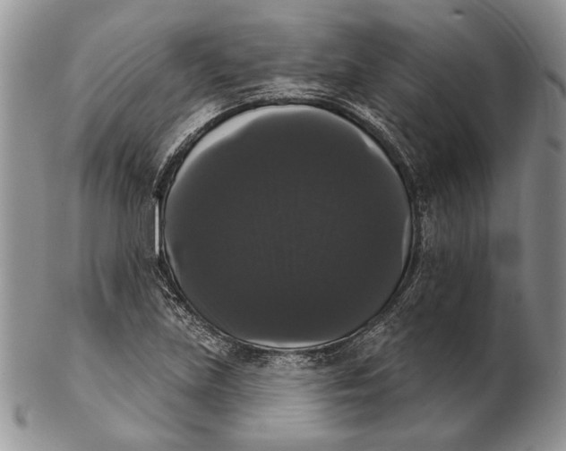 X0000102241219200808221323