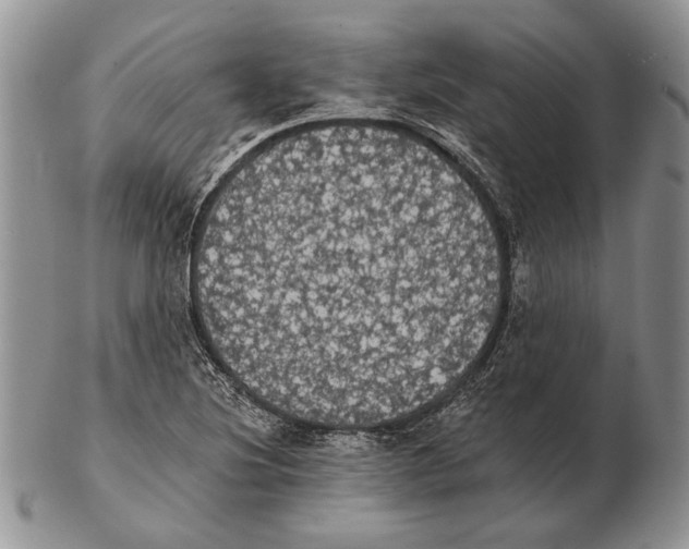 X0000102241220200808221323