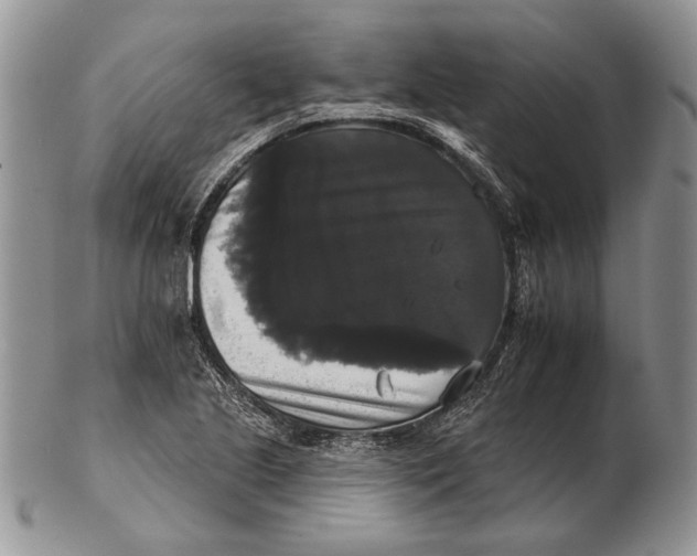 X0000102241221200808221323