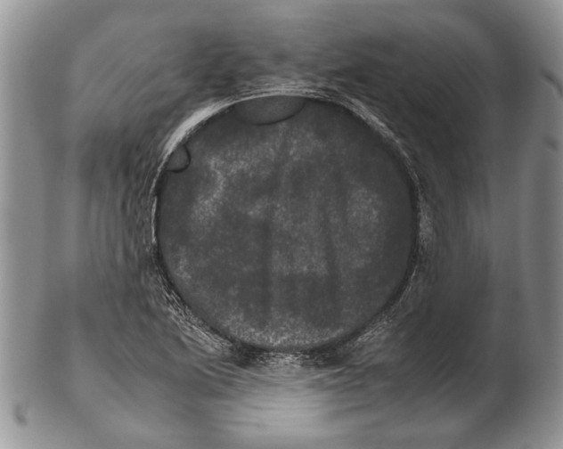 X0000102241222200808221323