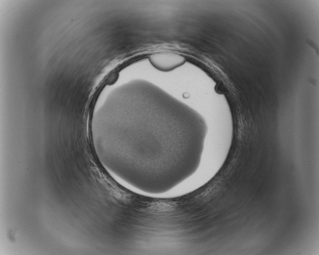 X0000102241224200808221323