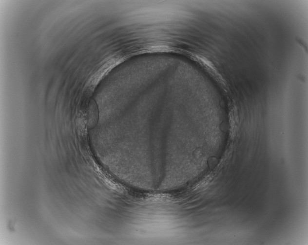 X0000102241225200808221323