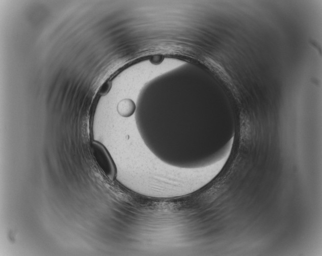 X0000102241226200808221323