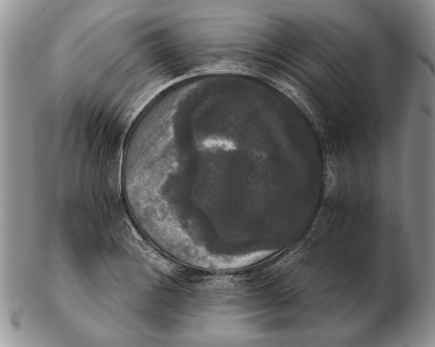 X0000102241228200808221323