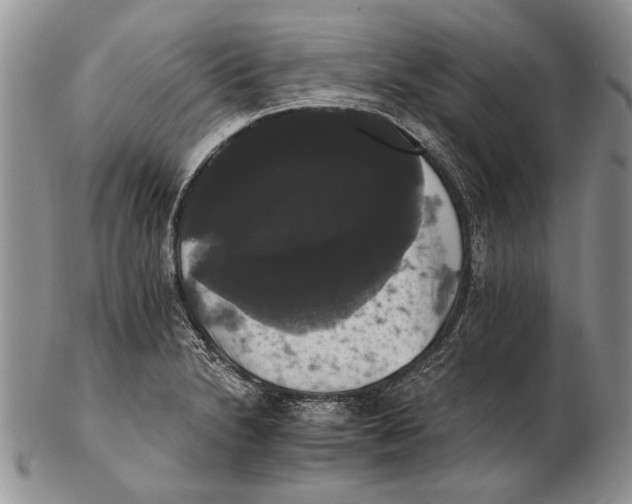 X0000102241230200808221323