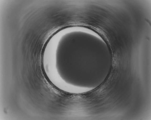 X0000102241231200808221323