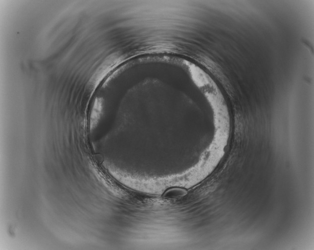 X0000102241234200808221323