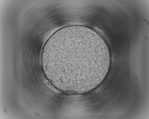 X0000102241236200808221323