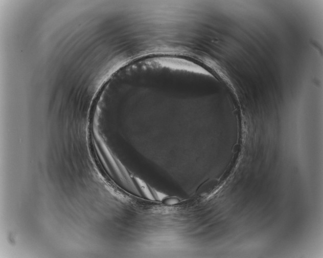 X0000102241237200808221323