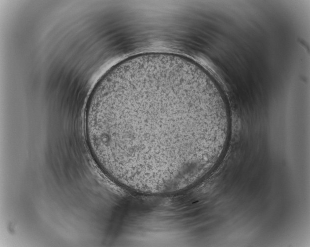 X0000102241238200808221323