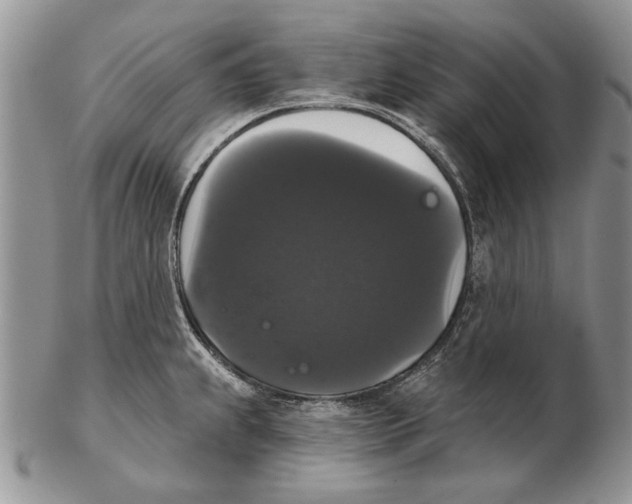 X0000102241239200808221323