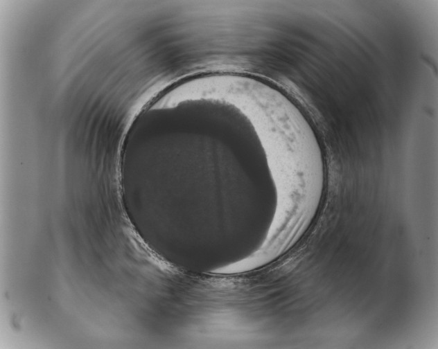 X0000102241240200808221323