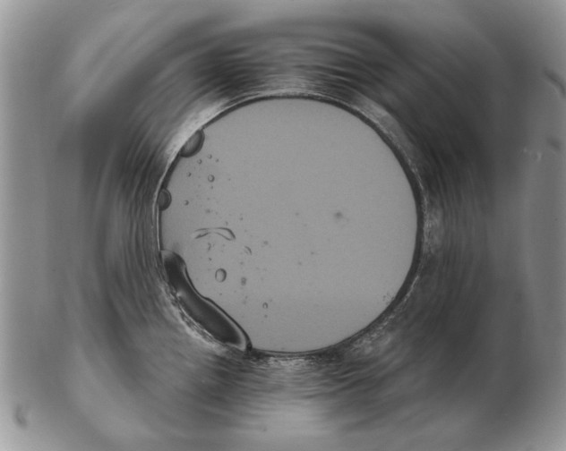 X0000102241242200808221323