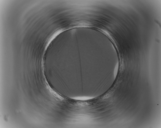 X0000102241243200808221323