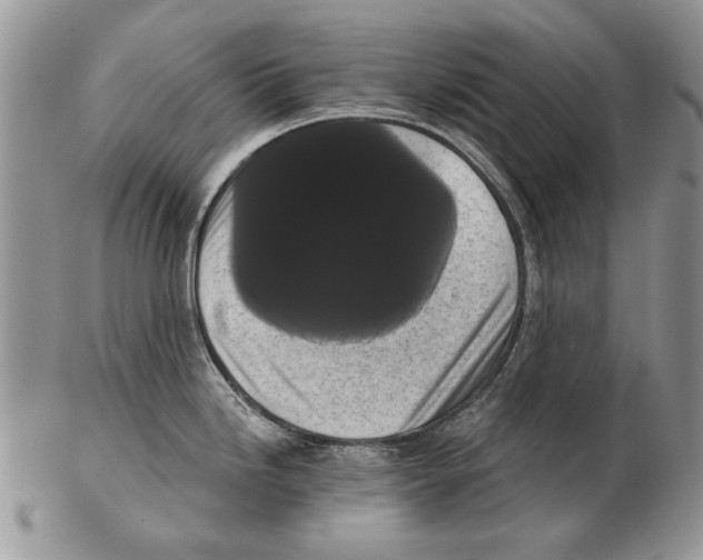 X0000102241246200808221323