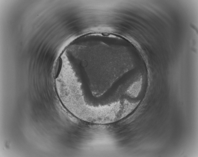 X0000102241248200808221323