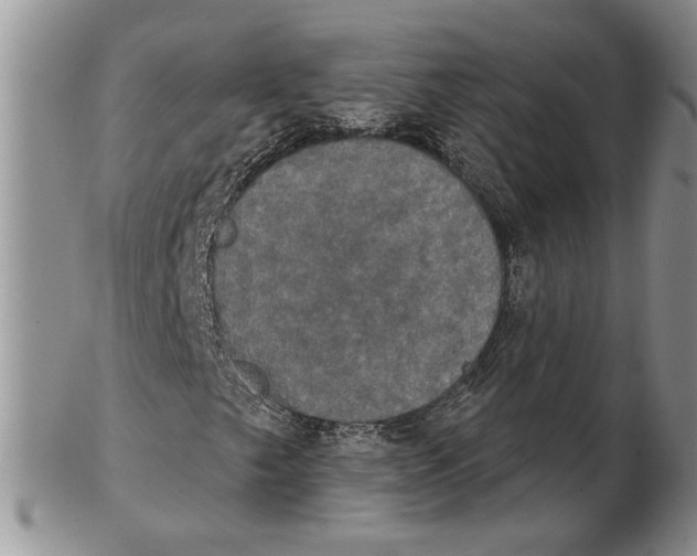 X0000102241249200808221322