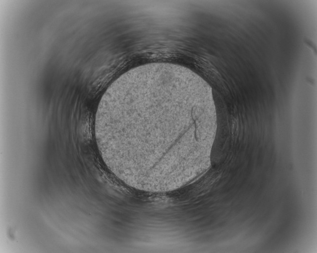 X0000102241250200808221322