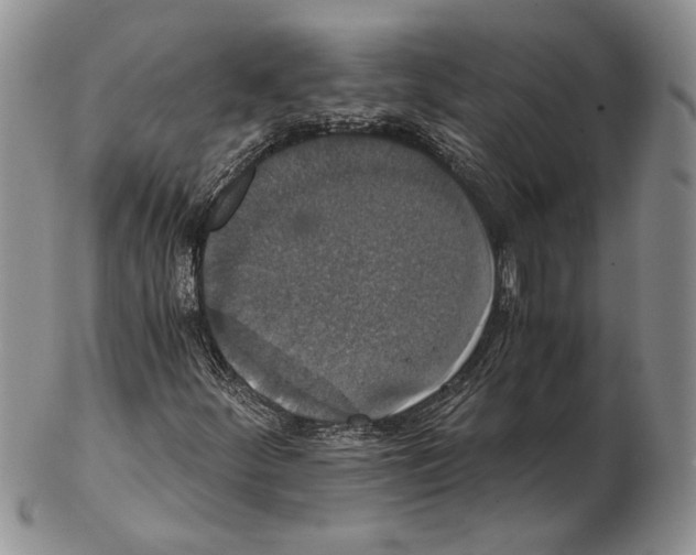 X0000102241252200808221322