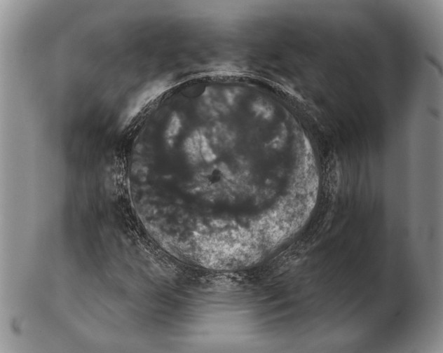 X0000102241255200808221322