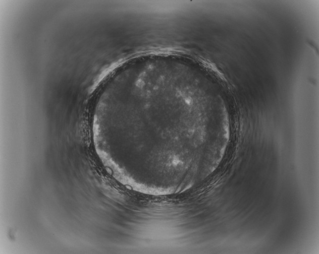 X0000102241256200808221322