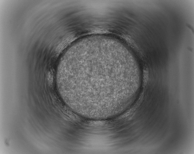 X0000102241257200808221322