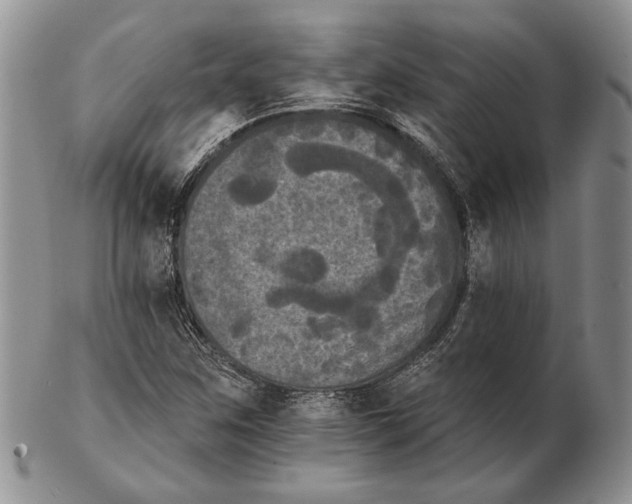 X0000102241259200808221322