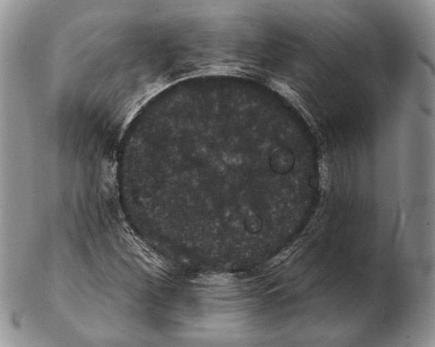 X0000102241260200808221322