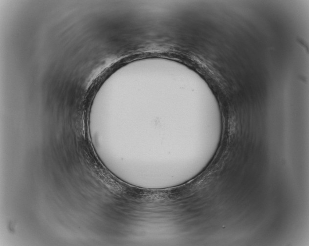 X0000102241262200808221322