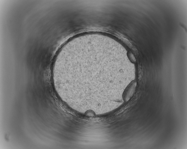 X0000102241264200808221322