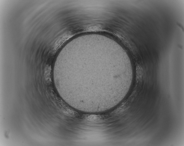 X0000102241265200808221322