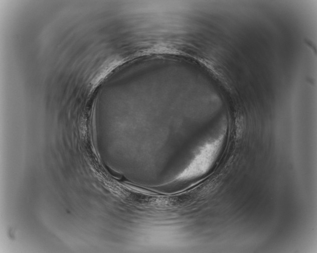 X0000102241266200808221322