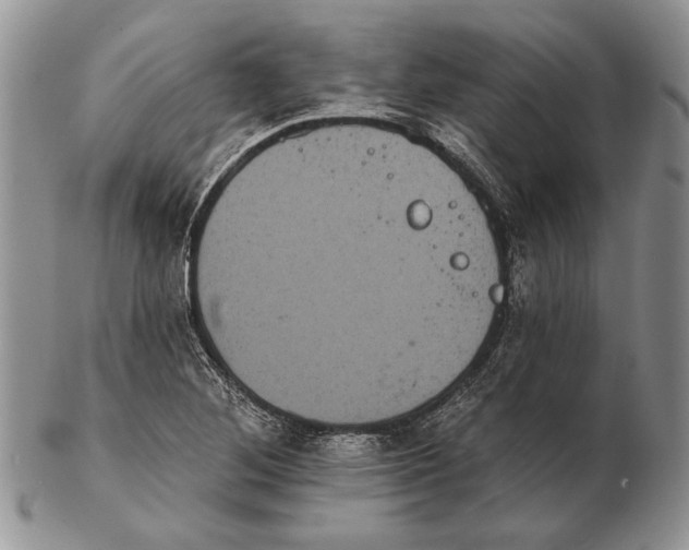 X0000102241268200808221322