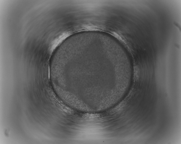 X0000102241269200808221322