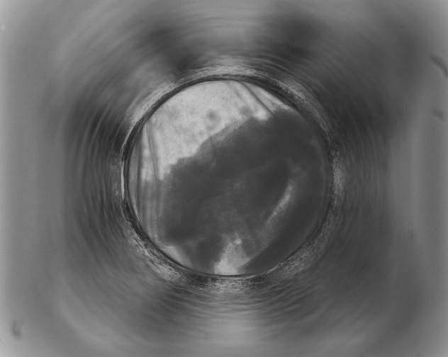 X0000102241274200808221322