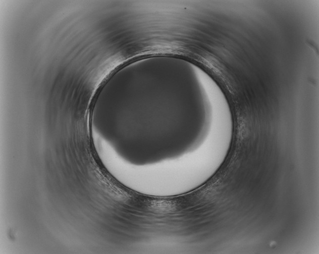 X0000102241275200808221322